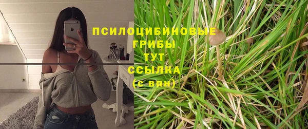 круглые Богородицк